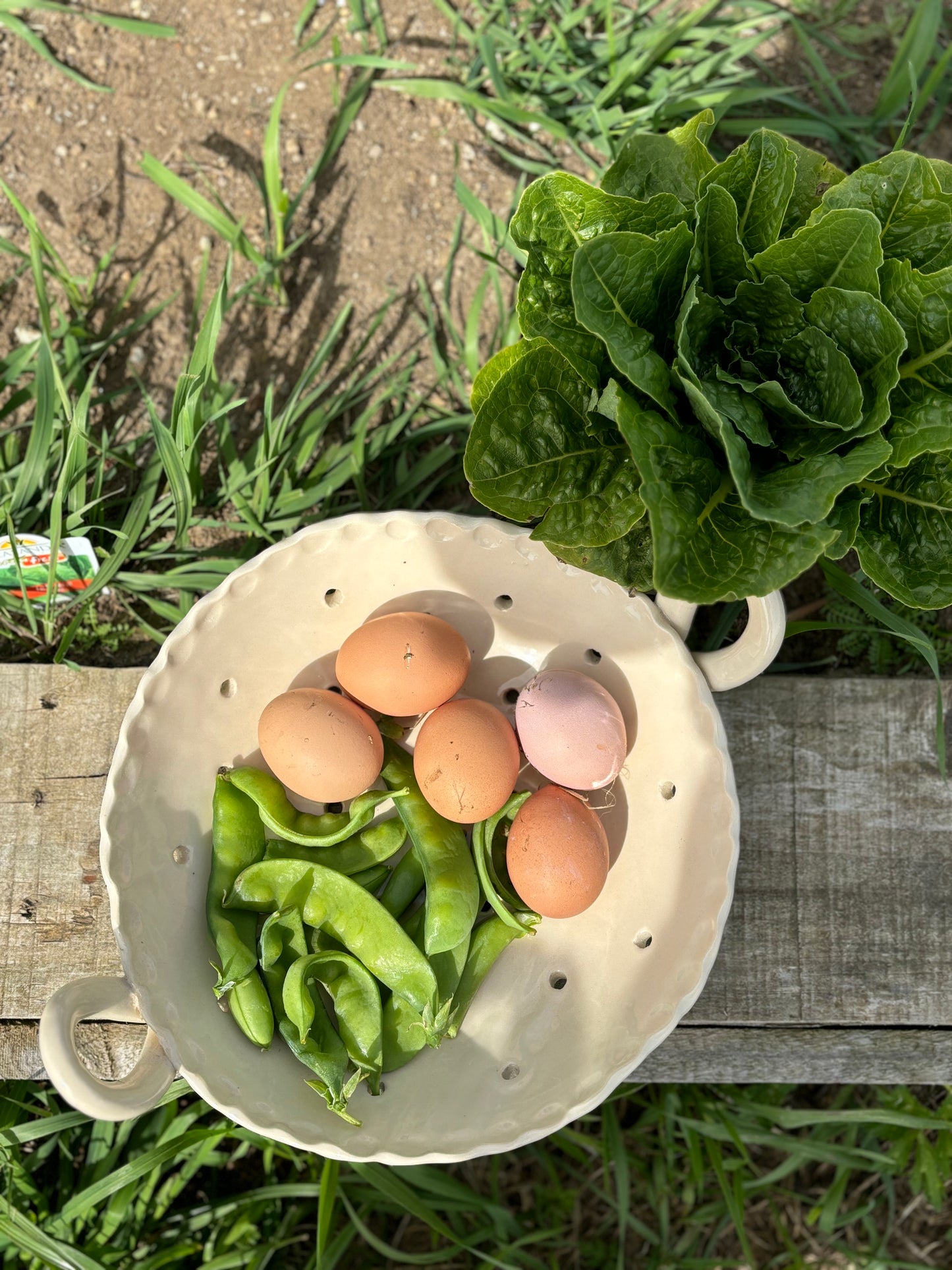 Garden To Table Colander